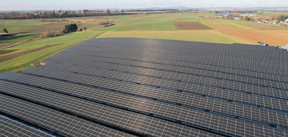 Energie vom Feld: Die rund 30.000 Solarmodule der Photovoltaik-Freiflächenanlage in Büchel liefern 14 Millionen Kilowattstunden Strom – genug für rund 4.000 Haushalte.