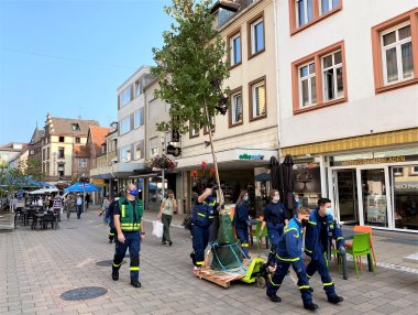 Standortwechsel innerhalb des Zentrums von Zweibrücken: Einer der Wanderbäume macht seinem Namen  alle Ehre. 