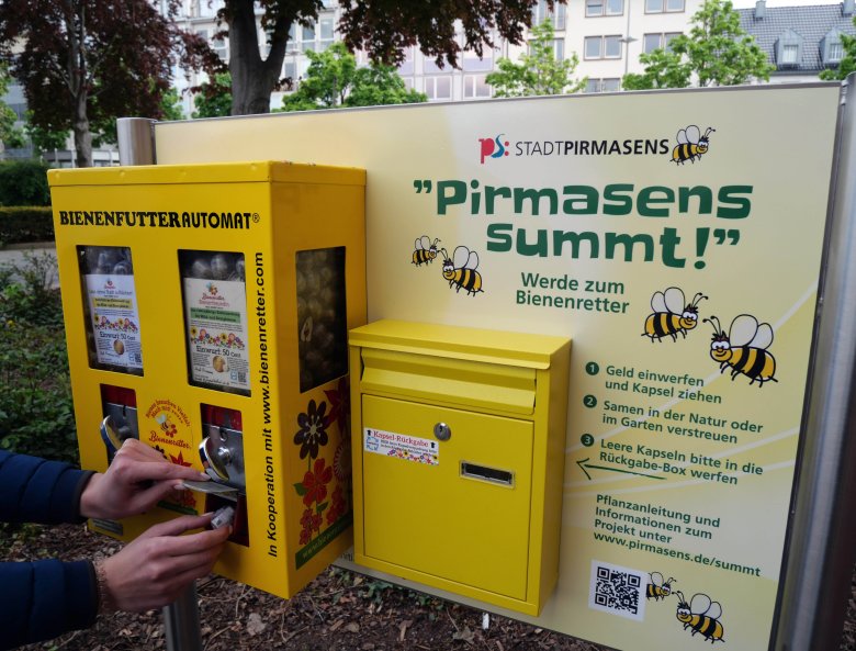 Der Bienenfutter-Automat auf dem Pirmasenser Exerzierplatz