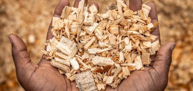 Holzpellets sind bei den meisten Nahwärmeverbünden Energieträger