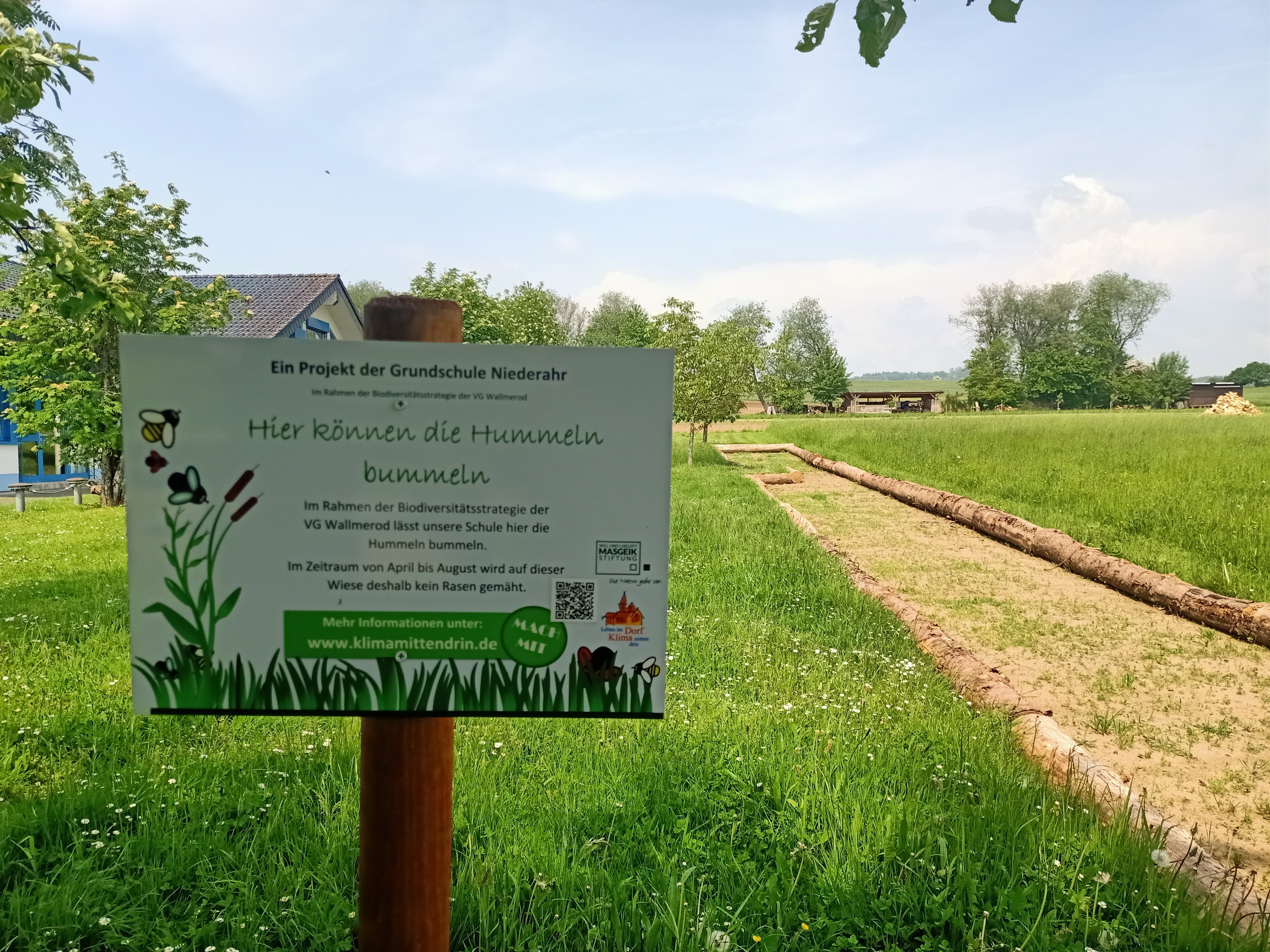 Alle Schulen des Gemeindegebiets nehmen an der Biodiversitätsstrategie teil, sodass an jeder Schule nun die Hummeln bummeln können Alle Schulen des Gemeindegebiets nehmen an der Biodiversitätsstrategie teil, sodass an jeder Schule nun die Hummeln bummeln können