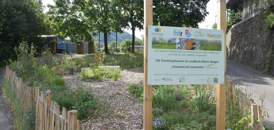 Nutzen für die Artenvielfalt, den Klimaschutz und die Bürger: „Dynamischer Agroforst“ in Trechtingshausen, nahe der Bahnlinie