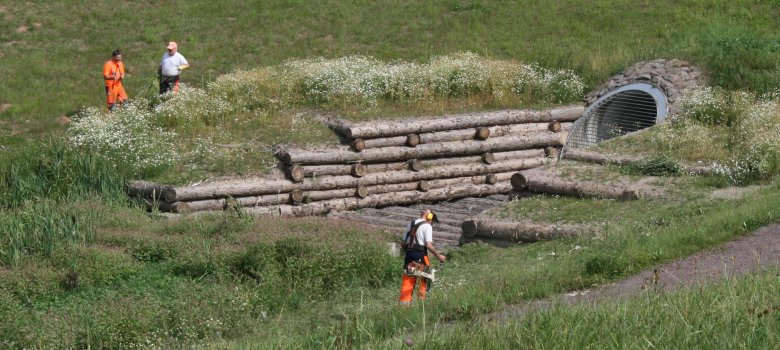 Naturnaher Holzkastenverbau zur Ableitung von Oberflächenwasser 