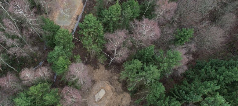 Teiche unterschiedlicher Größe – hier dokumentiert per Drohne bei Bell im Hunsrück – bilden wertvolle Lebensräume und helfen zugleich, Wasser im Wald zu speichern. default