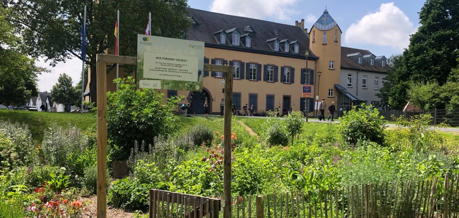 Der Schlossgarten in Gau-Algesheim ist eines der Agroforst-Projekte. 