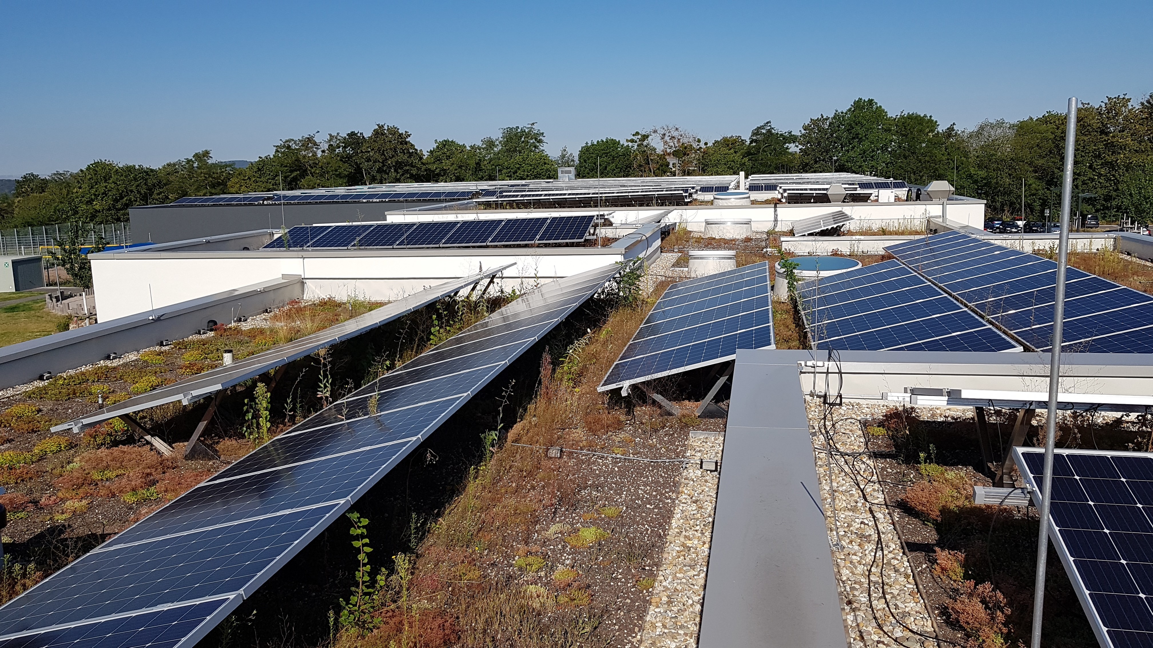 Die installierten Photovoltaikanlagen decken überwiegend den Eigenstrombedarf des Bildungs- und Sportzentrums. Pro Jahr können von rund 178 Tonnen klimaschädliches Kohledioxid vermieden werden. Die installierten Photovoltaikanlagen decken überwiegend den Eigenstrombedarf des Bildungs- und Sportzentrums. Pro Jahr können von rund 178 Tonnen klimaschädliches Kohledioxid vermieden werden.