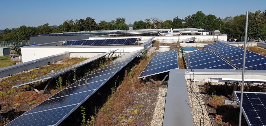 Die installierten Photovoltaikanlagen decken überwiegend den Eigenstrombedarf des Bildungs- und Sportzentrums. Pro Jahr können von rund 178 Tonnen klimaschädliches Kohledioxid vermieden werden. 
